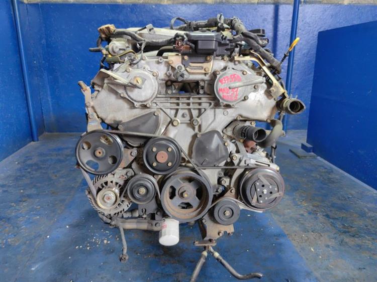 Двигатель Ниссан Эльгранд в Кизляре 437558